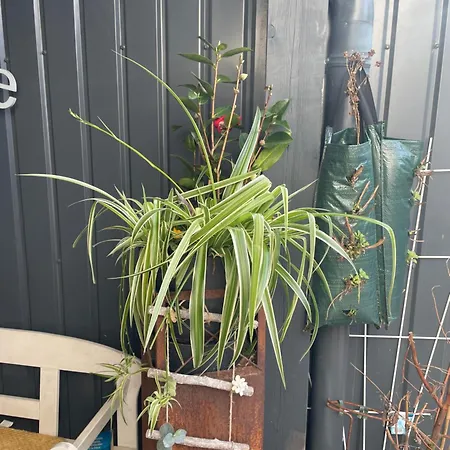 Διαμέρισμα Moderne Bahnhof Naehe *