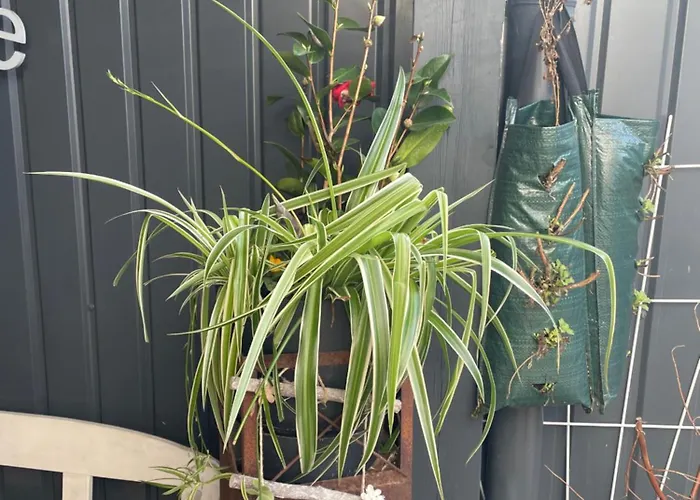 Διαμέρισμα Moderne Bahnhof Naehe *